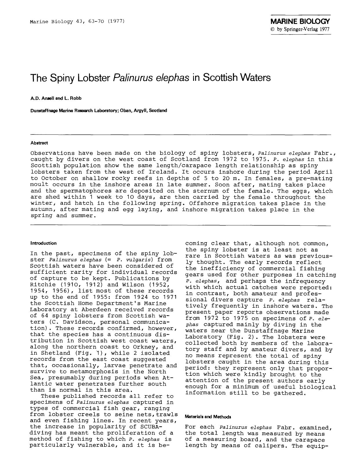 The spiny lobster <Emphasis Type="Italic">Palinurus elephas<Emphasis> in Scottish waters by Unknown