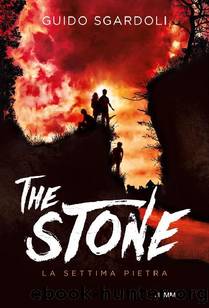 The stone by Guido Sgardoli