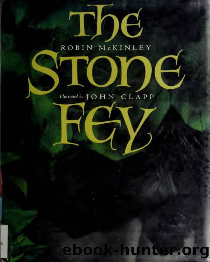 The stone fey by McKinley Robin