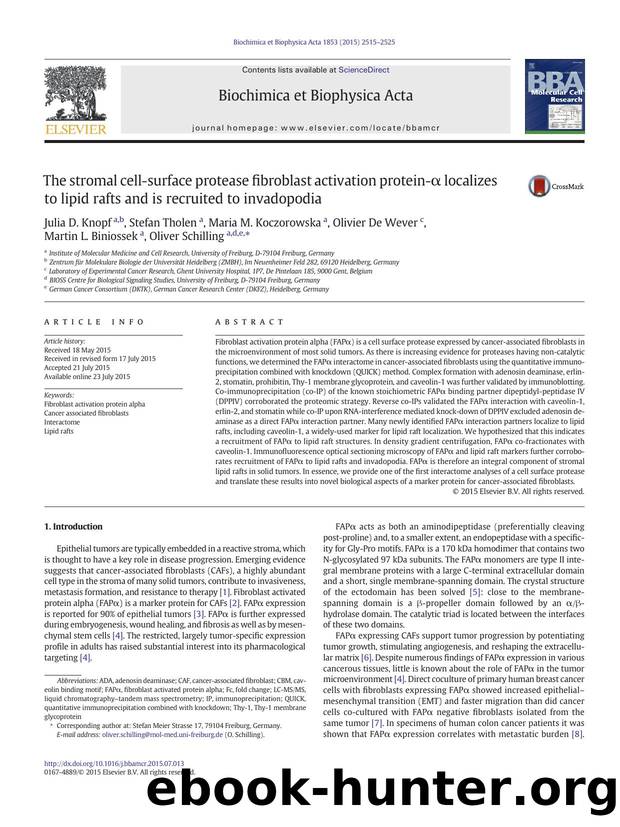 The stromal cell-surface protease fibroblast activation protein-Î± localizes to lipid rafts and is recruited to invadopodia by unknow