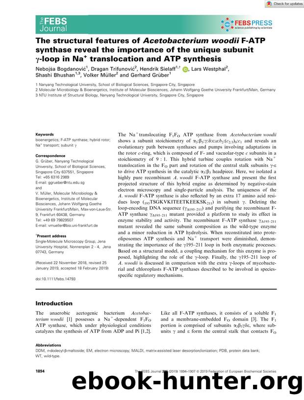 The structural features of AcetobacteriumÂ woodii FâATP synthase reveal the importance of the unique subunit Î³âloop in Na+ translocation and ATP synthesis by Unknown