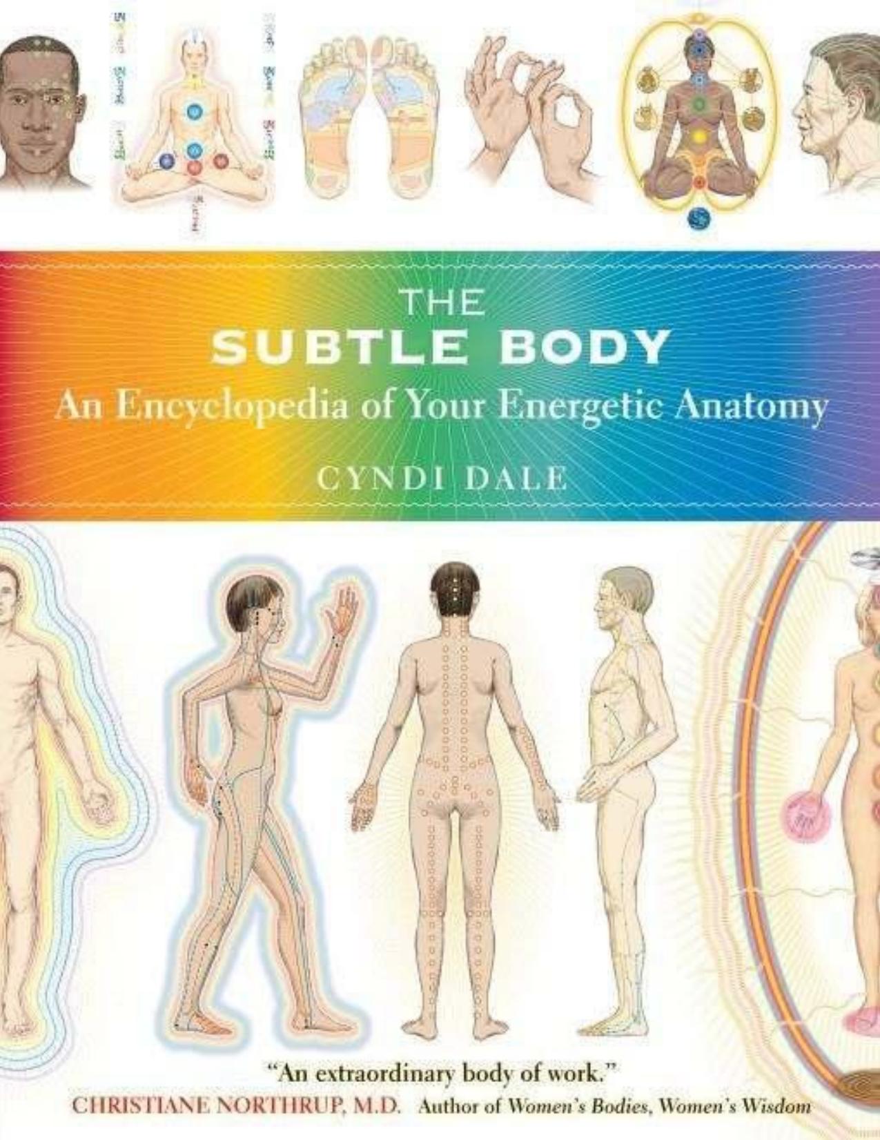 The subtle body: An encyclopedia of your energetic anatomy by Cyndi Dale