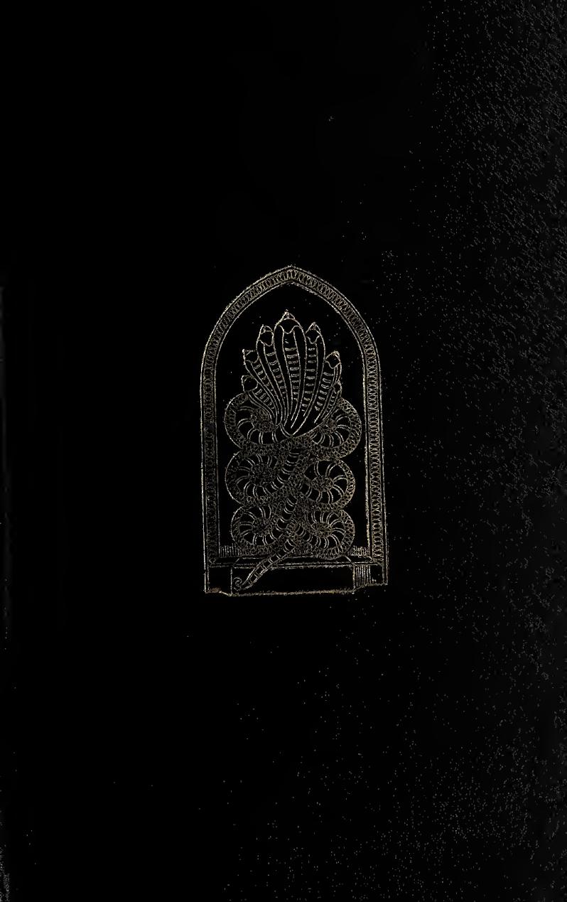 The sun and the serpent; a contribution to the history of serpent-worship by Charles Frederick Oldham