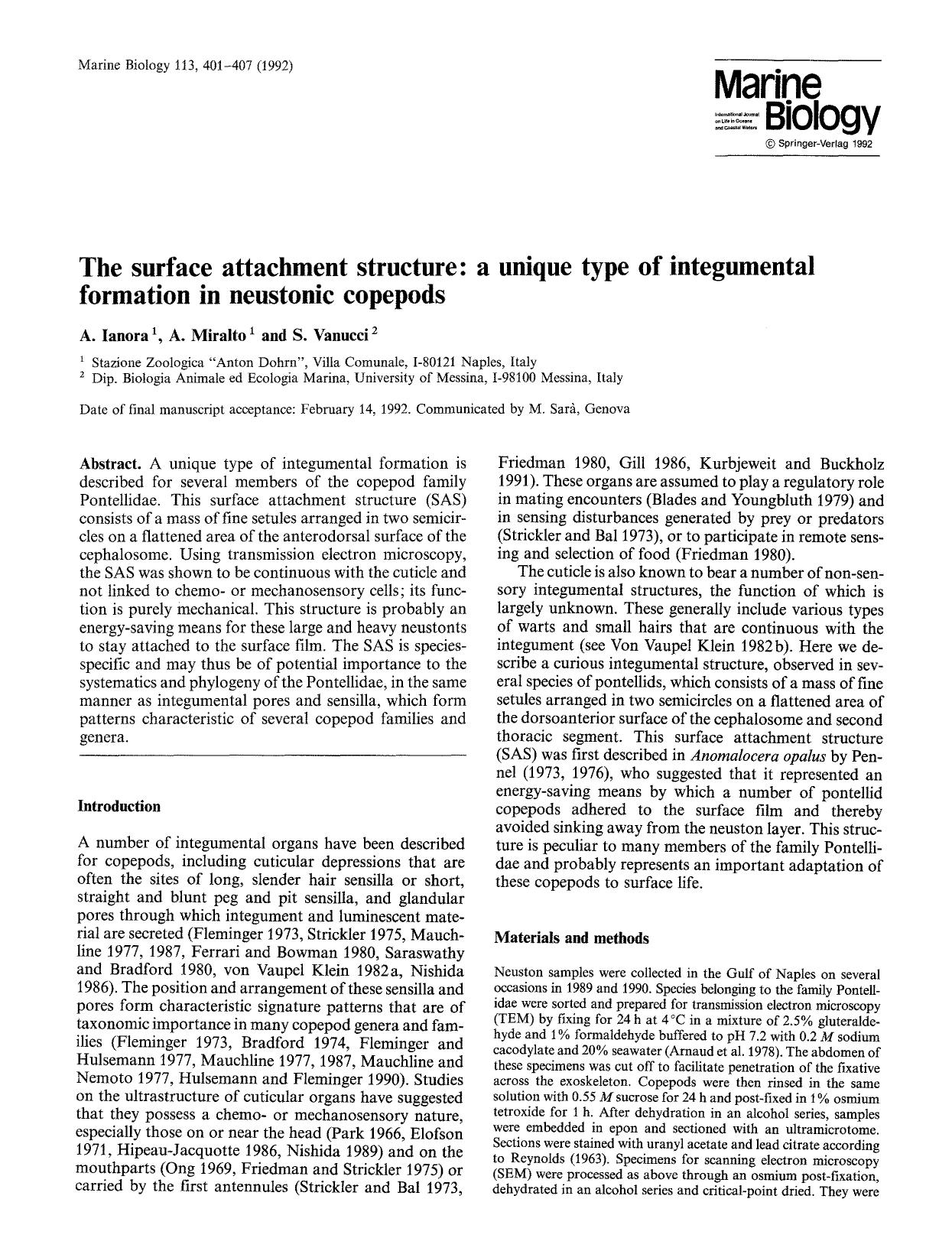 The surface attachment structure: a unique type of integumental formation in neustonic copepods by Unknown