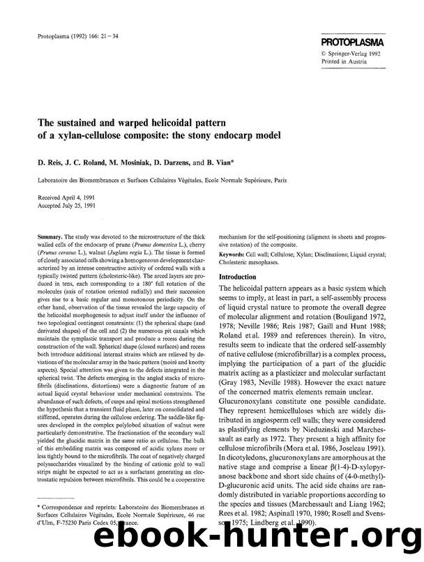 The sustained and warped helicoidal pattern of a xylan-cellulose composite: the stony endocarp model by Unknown