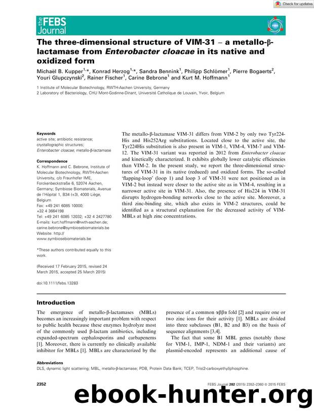 The threeâdimensional structure of VIMâ31Â âÂ a metalloâÎ²âlactamase from EnterobacterÂ cloacae in its native and oxidized form by Unknown