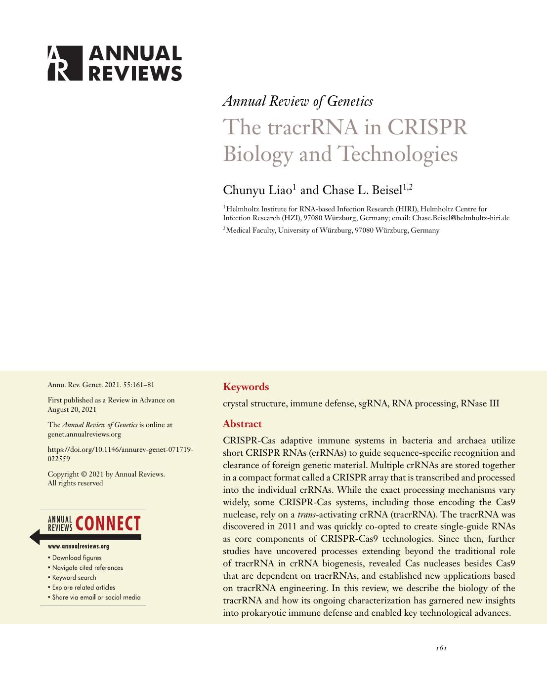 The tracrRNA in CRISPR Biology and Technologies by Chunyu Liao and Chase L. Beisel