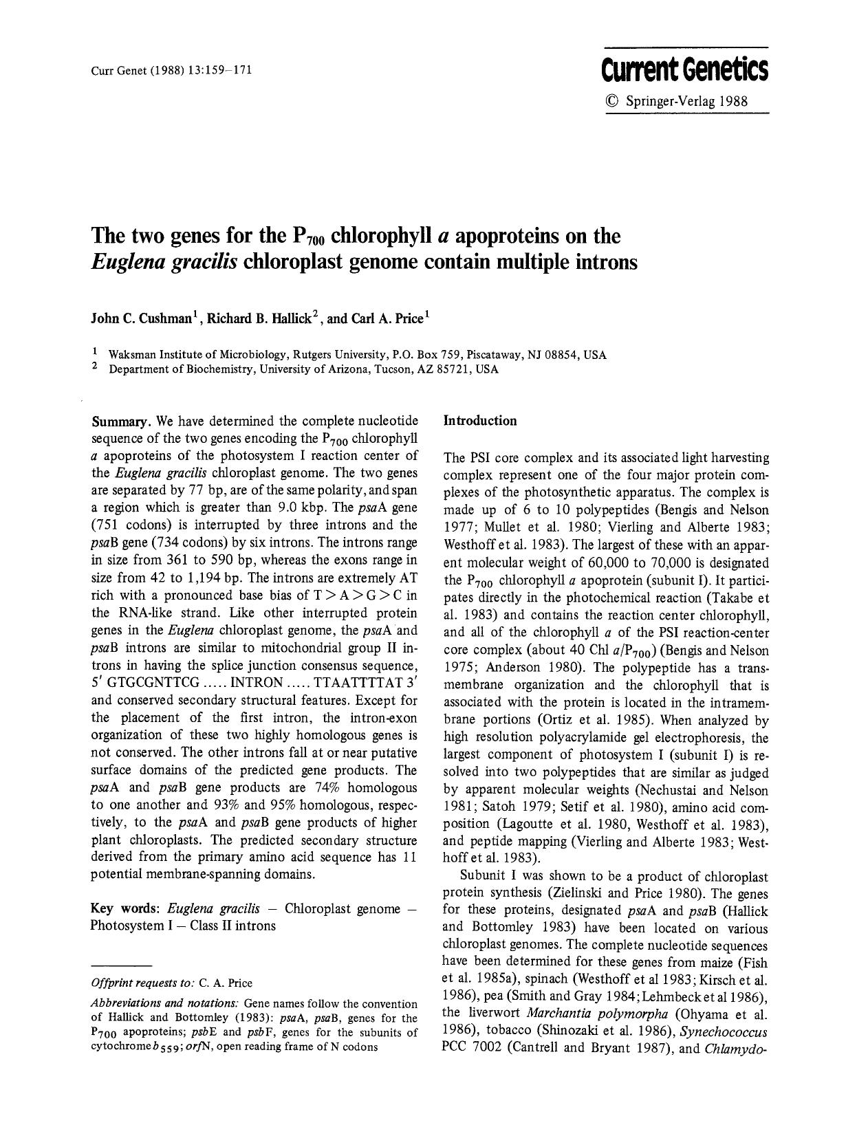 The two genes for the P<Subscript>700<Subscript> chlorophyll <Emphasis Type="Italic">a<Emphasis> apoproteins on the <Emphasis Type="Italic">Euglena gracilis<Emphasis> chloroplast g by Unknown
