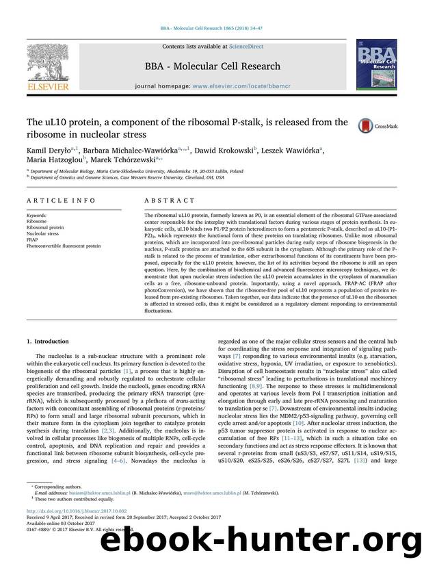 The uL10 protein, a component of the ribosomal P-stalk, is released from the ribosome in nucleolar stress by unknow