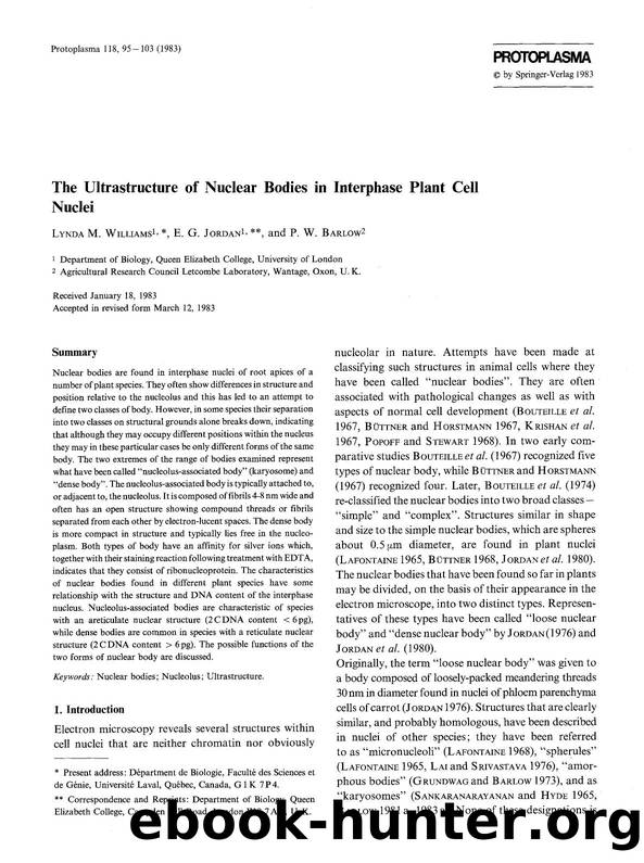 The ultrastructure of nuclear bodies in interphase plant cell nuclei by Unknown