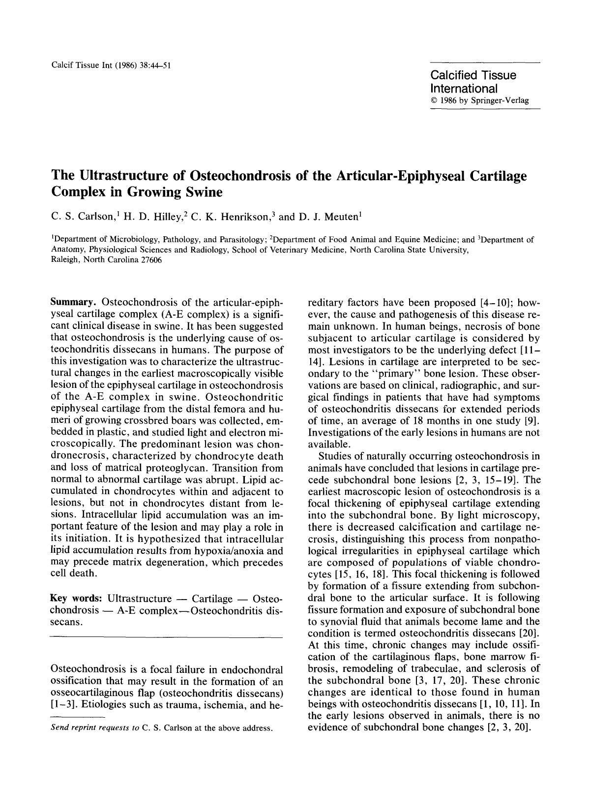 The ultrastructure of osteochondrosis of the articular-epiphyseal cartilage complex in growing swine by Unknown