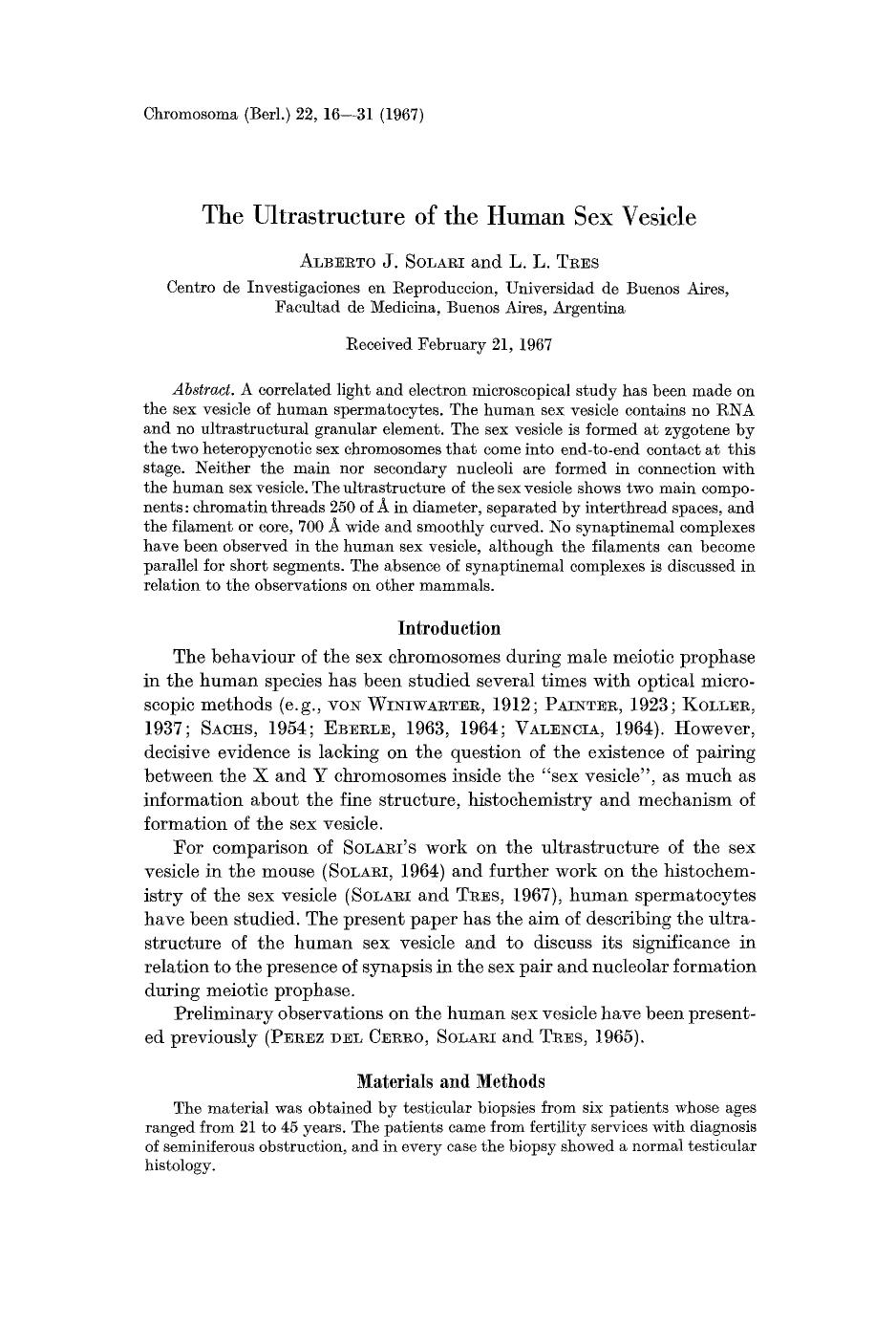 The ultrastructure of the human sex vesicle by Unknown