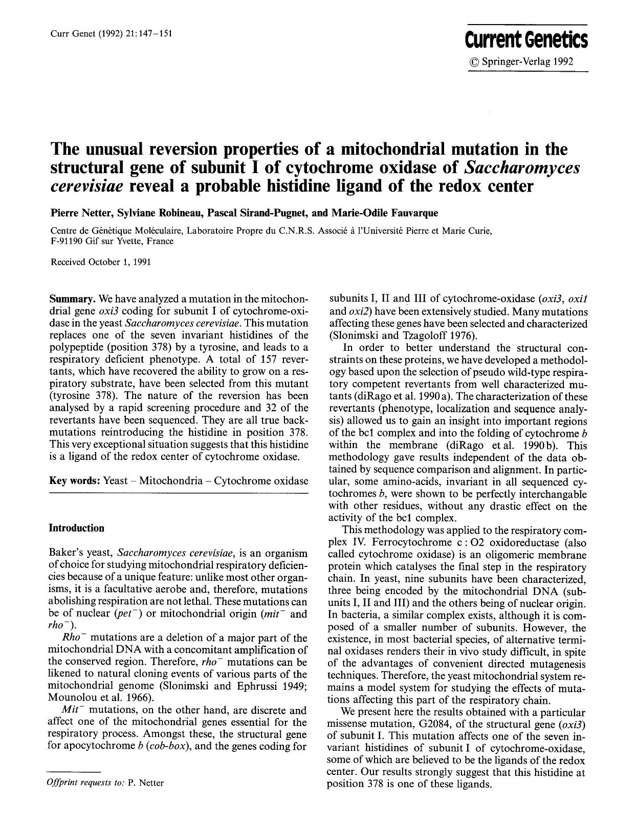 The unusual reversion properties of a mitochondrial mutation in the structural gene of subunit I of cytochrome oxidase of <Emphasis Type="Italic">Saccharomyces cerevisiae<Emphasis> by Unknown