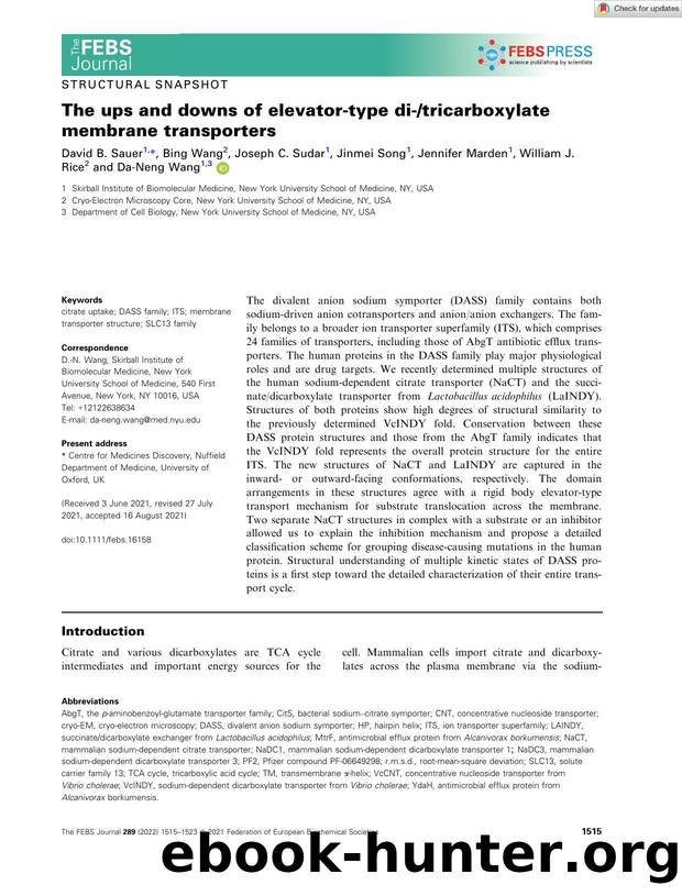 The ups and downs of elevatorâtype diâtricarboxylate membrane transporters by Unknown