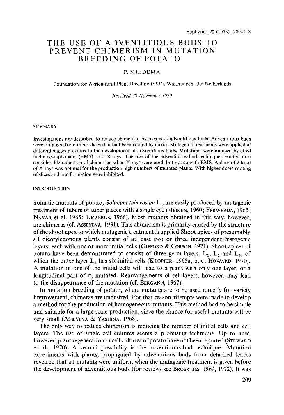 The use of adventitious buds to prevent chimerism in mutation breeding of potato by Unknown