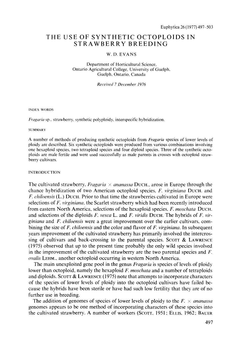The use of synthetic octoploids in strawberry breeding by Unknown