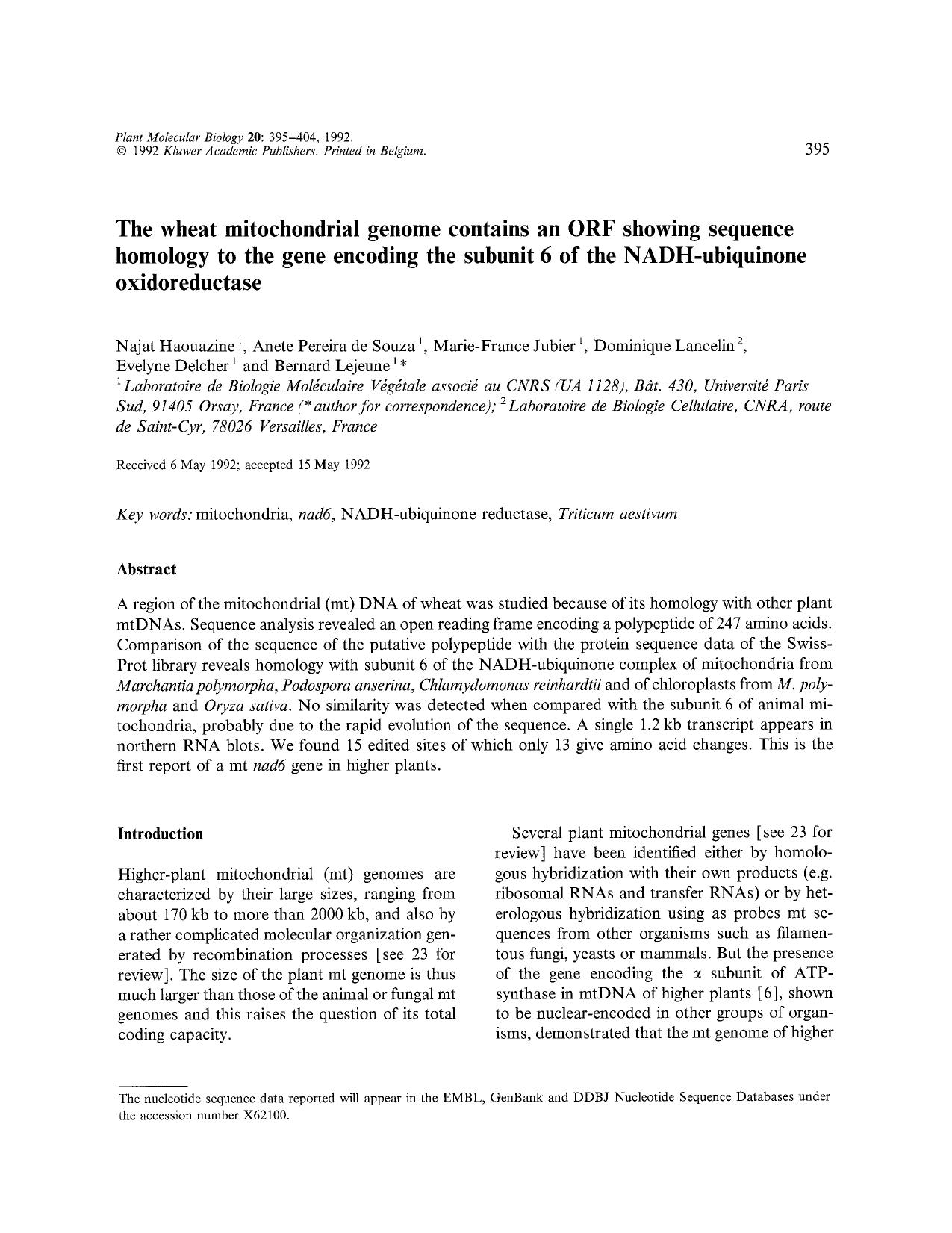 The wheat mitochondrial genome contains an ORF showing sequence homology to the gene encoding the subunit 6 of the NADH-ubiquinone oxidoreductase by Unknown
