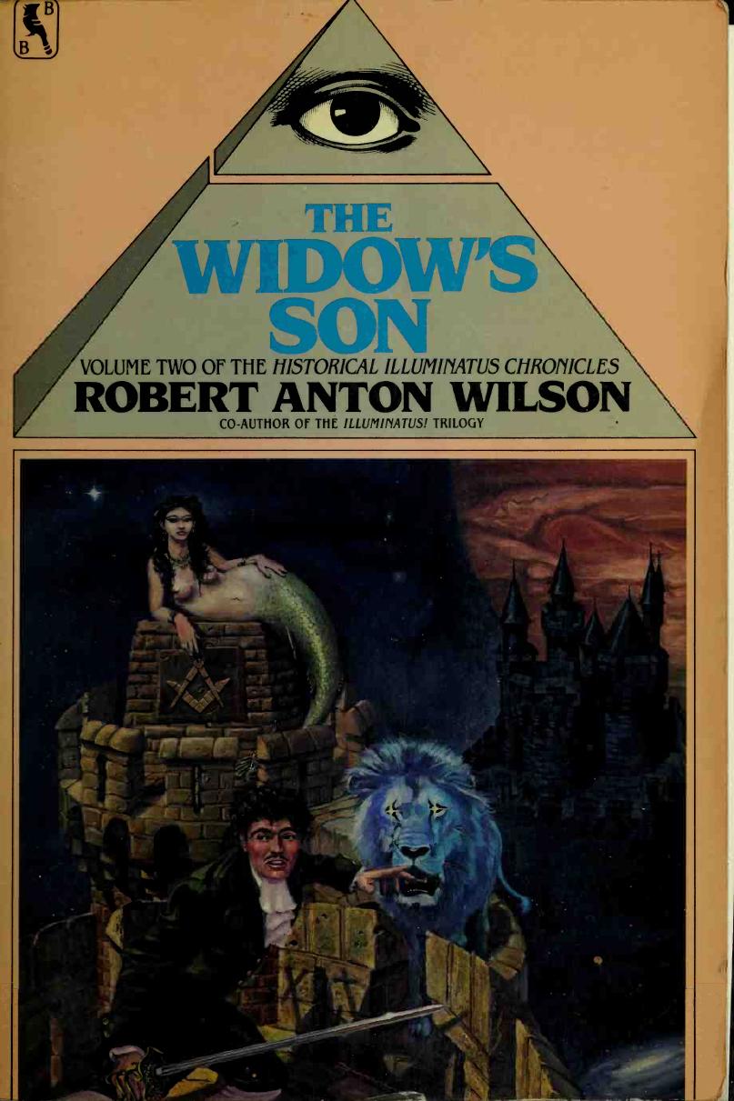 The widow's son by Wilson Robert Anton 1932-