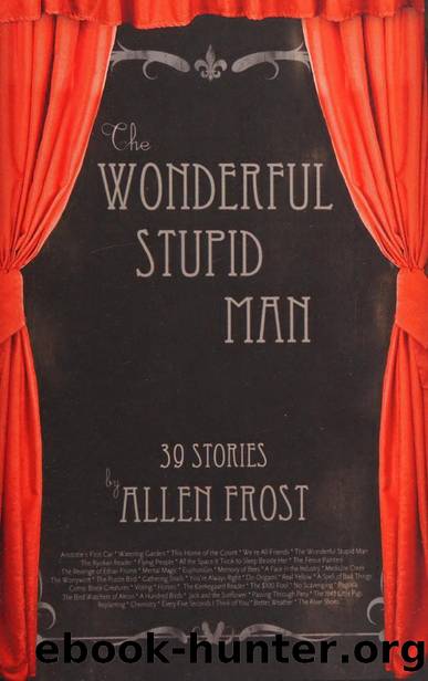 The wonderful stupid man : fiction by Frost Allen