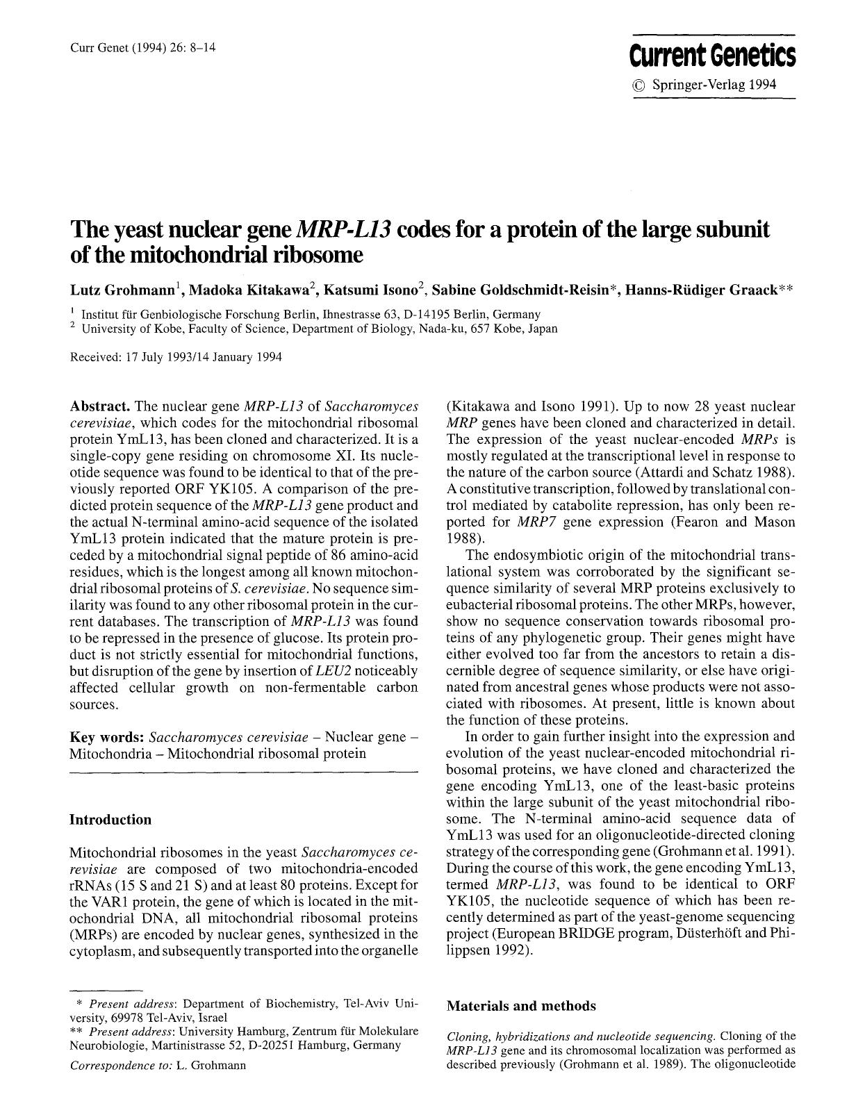 The yeast nuclear gene <Emphasis Type="Italic">MRP-L13<Emphasis> codes for a protein of the large subunit of the mitochondrial ribosome by Unknown
