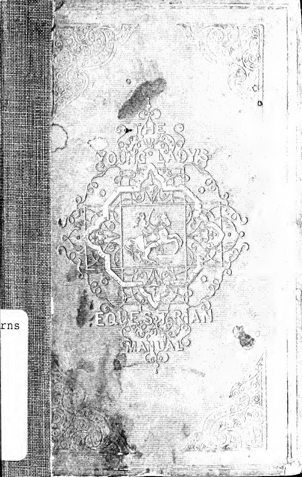 The young lady's equestrian manual by Unknown