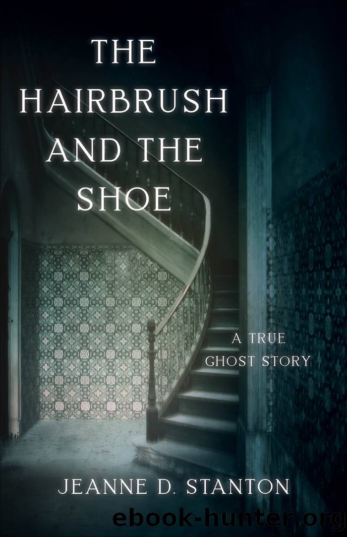 The Hairbrush and the Shoe by Jeanne D. Stanton