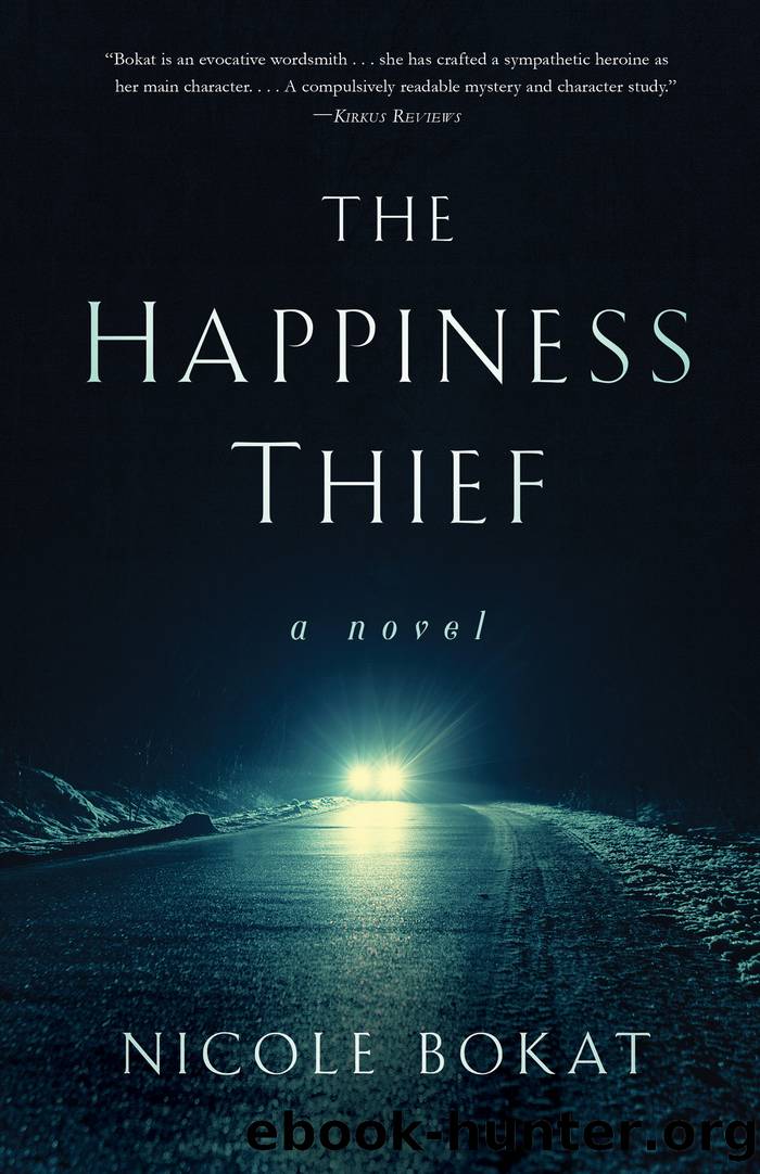 TheÂ HappinessÂ Thief by Nicole Bokat