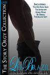 The-Story-Orgy-Collection by Lee_Brazil & Unknown
