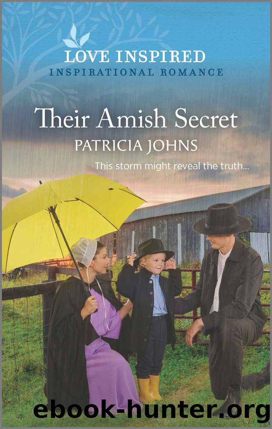 Their Amish Secret (Amish Country Matches) by Johns Patricia
