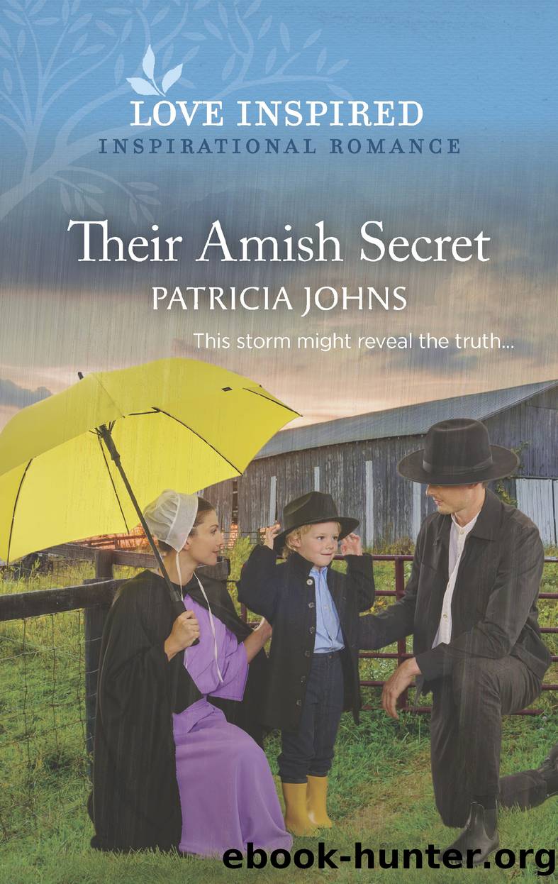 Their Amish Secret by Patricia Johns