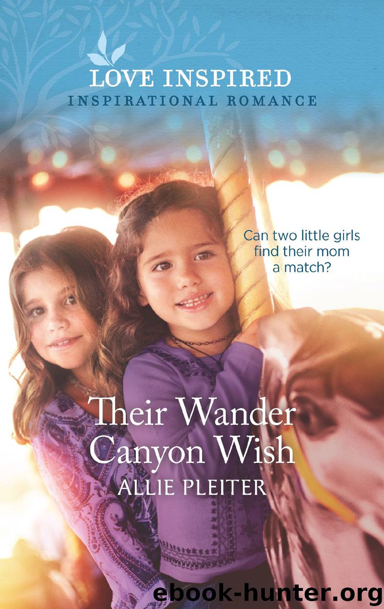 Their Wander Canyon Wish by Allie Pleiter