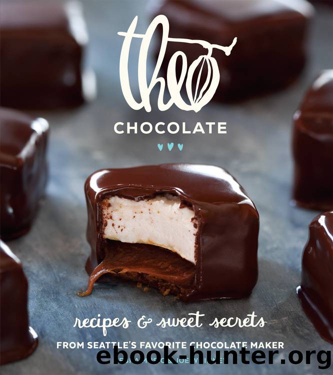 Theo Chocolate (EBK) by Debra Music & Joe Whinney