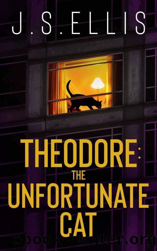 Theodore: The Unfortunate Cat: A gripping psychological thriller with a nerve shredding climax (Theodore: The Neighbour's Cat Book 4) by J.S. Ellis