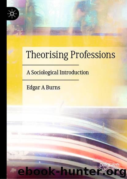 Theorising Professions by Edgar A Burns
