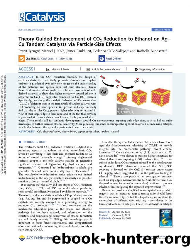 Theory-Guided Enhancement of CO2 Reduction to Ethanol on AgâCu Tandem Catalysts via Particle-Size Effects by Pranit Iyengar Manuel J. Kolb James Pankhurst Federico Calle-Vallejo & Raffaella Buonsanti