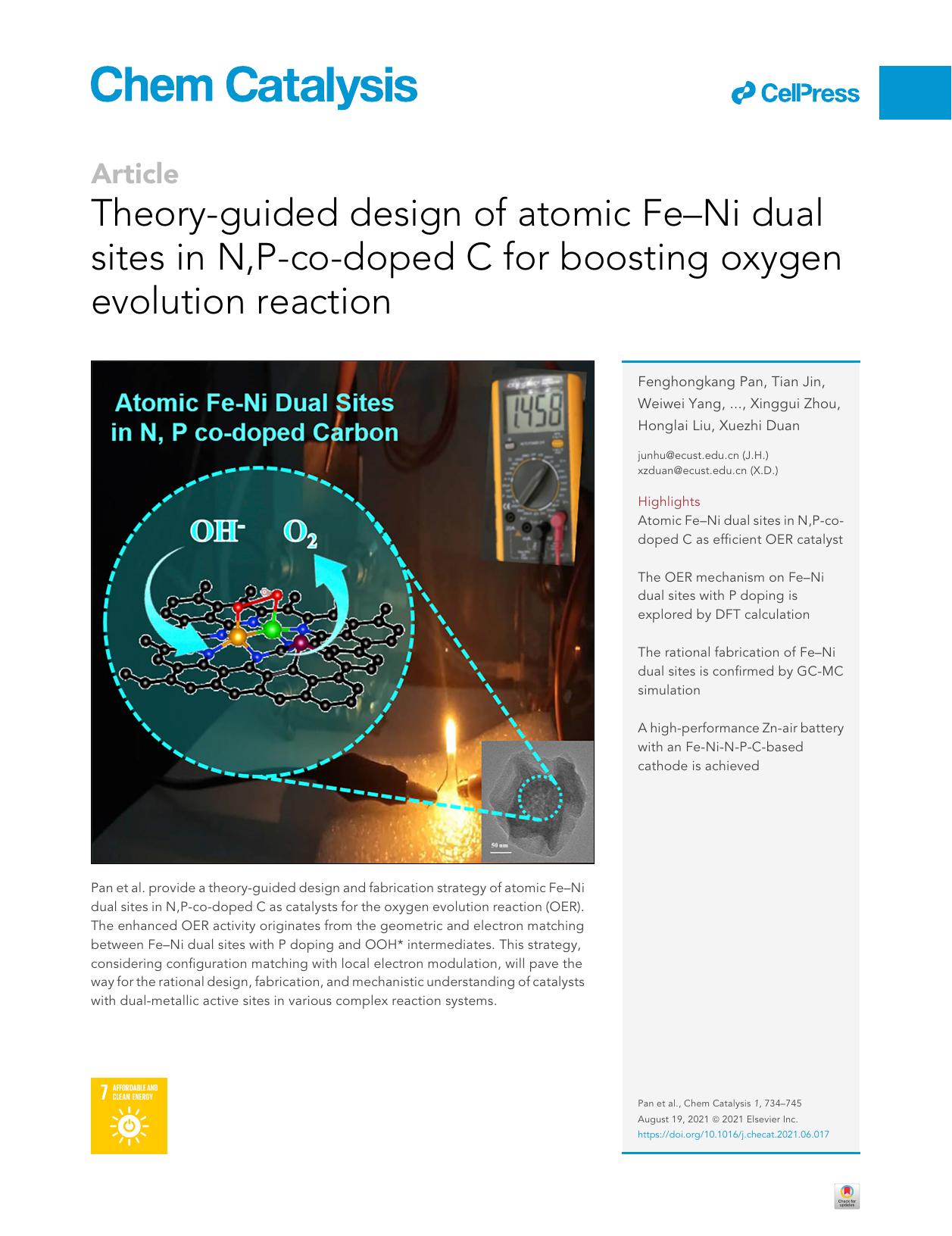 Theory-guided design of atomic Fe-Ni dual sites in N,P-co-doped C for boosting oxygen evolution reaction by unknow