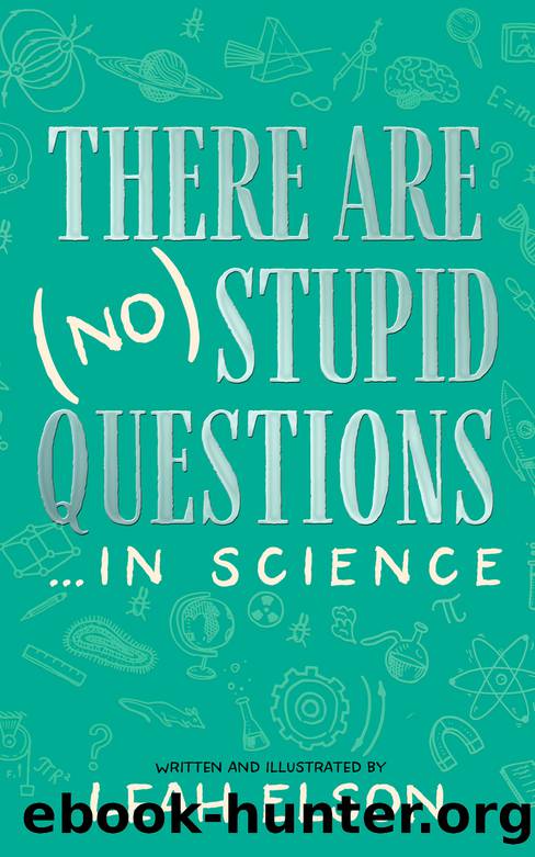 There Are (No) Stupid Questions ... in Science by Leah Elson