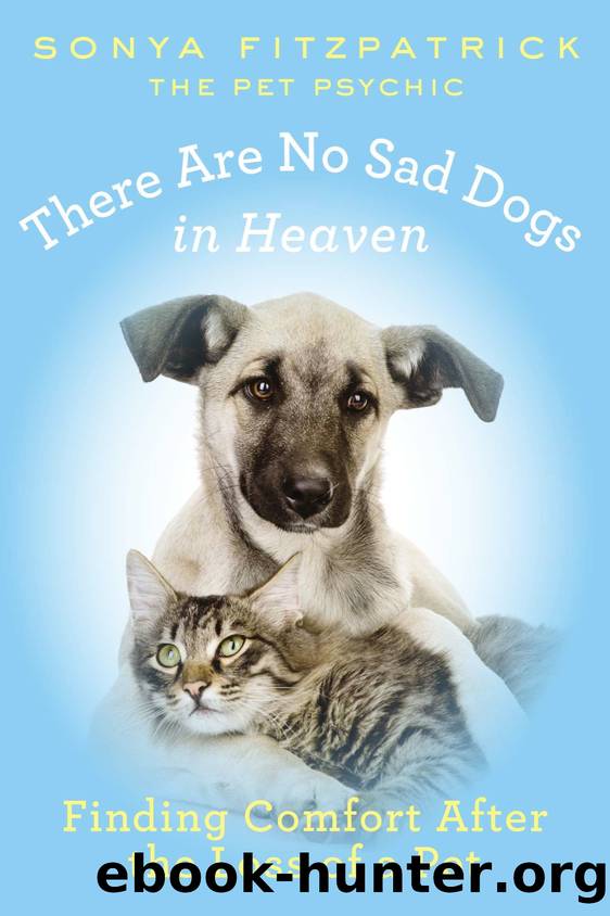 There Are No Sad Dogs in Heaven by Sonya Fitzpatrick