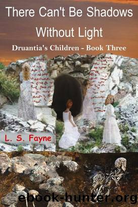 There Can't Be Shadows Without Light by L. S. Fayne