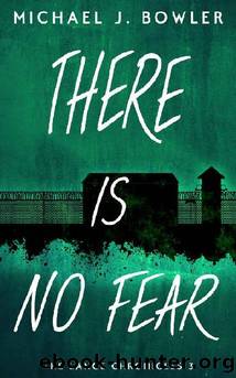 There Is No Fear by Michael J. Bowler
