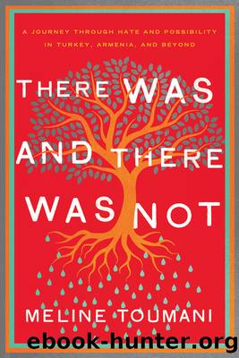 There Was and There Was Not by Meline Toumani