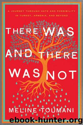 There Was and There Was Not: A Journey through Hate and Possibility in Turkey, Armenia, and Beyond by Toumani Meline