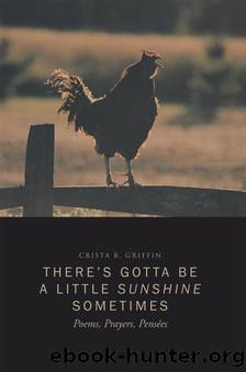 There's Gotta Be A Little Sunshine Sometimes by Crista B. Griffin