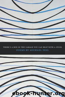 There's a Box in the Garage You Can Beat With a Stick by Michael Teig
