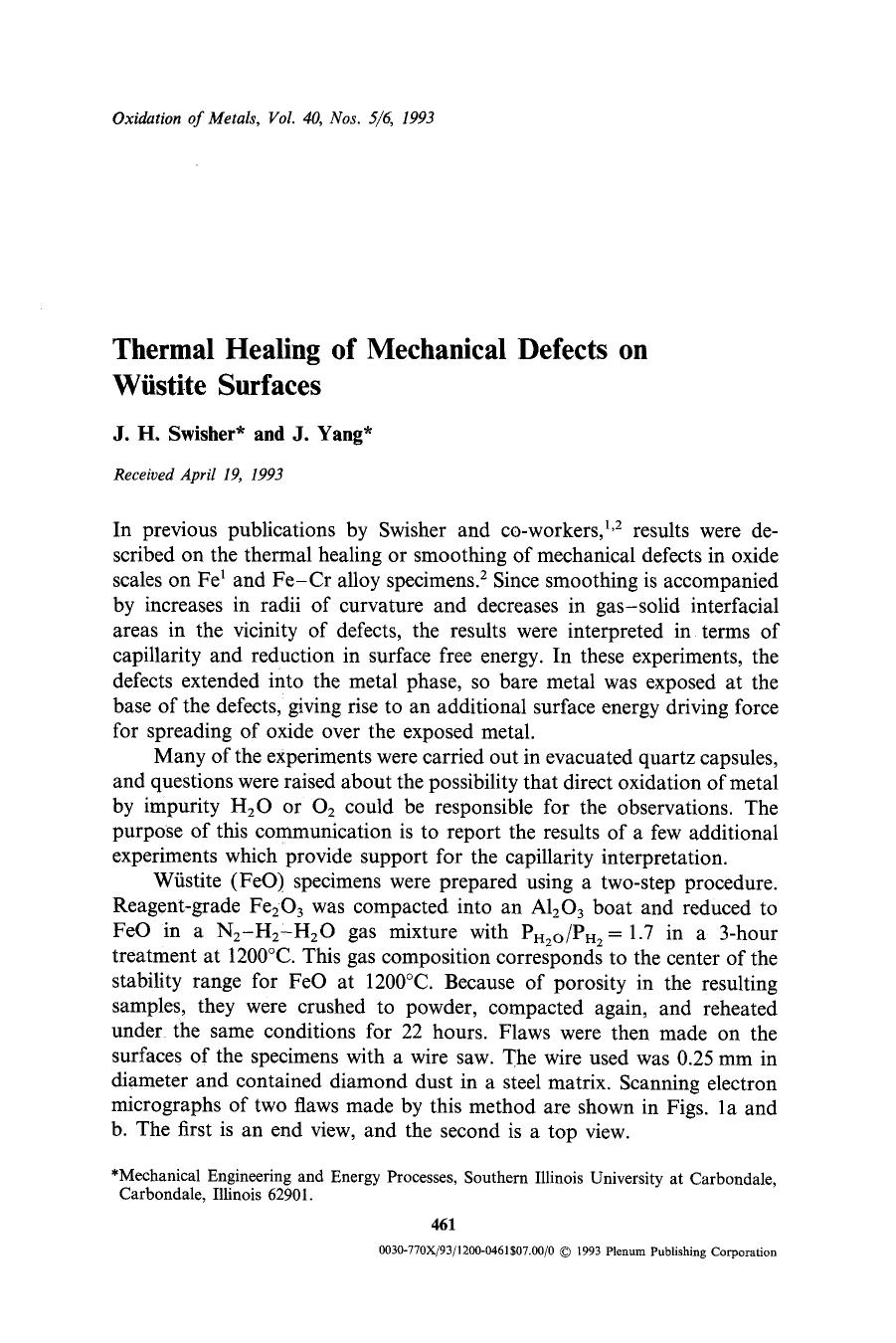 Thermal healing of mechanical defects on w&#x00FC;stite surfaces by Unknown