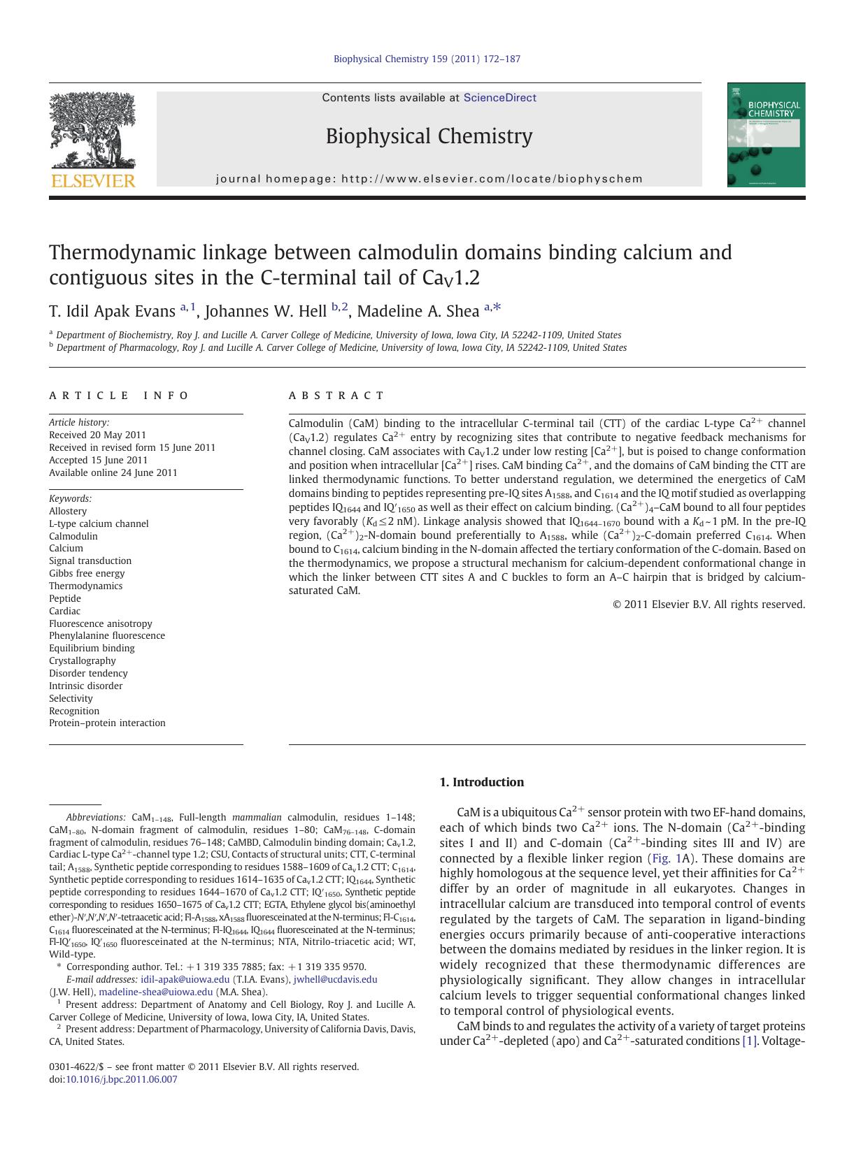 Thermodynamic linkage between calmodulin domains binding calcium and contiguous sites in the C-terminal tail of CaV1.2 by T. Idil Apak Evans & Johannes W. Hell & Madeline A. Shea