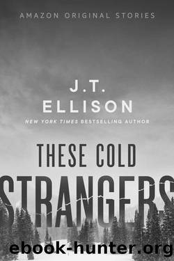 These Cold Strangers (We Could Be Heroes) by J.T. Ellison