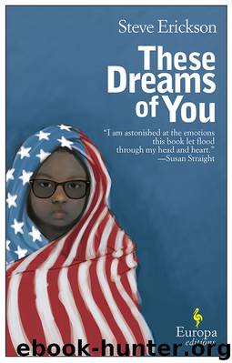 These Dreams of You by Steve Erickson