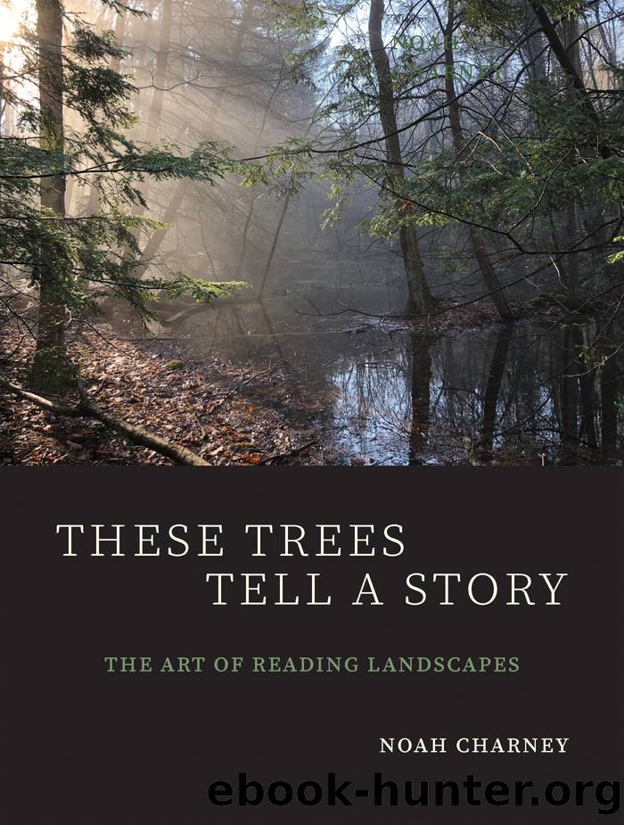 These Trees Tell a Story by Noah Charney;