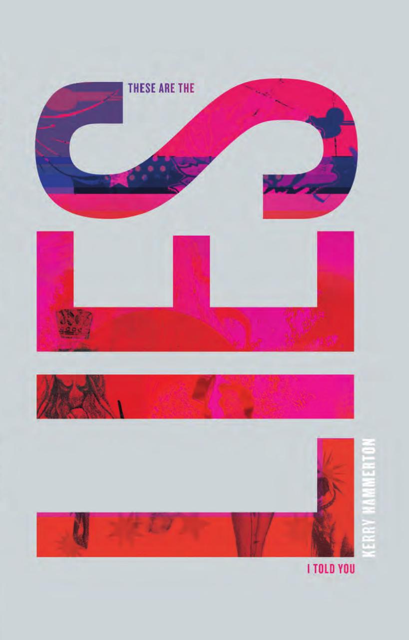 These are the Lies I Told You by Kerry Hammerton